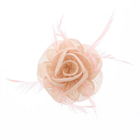 Fascinator On Concord Clip & Brooch Pin