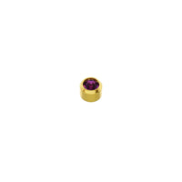 Amethyst Stone Gold Plated Caflon Ear Studs
