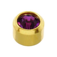4mm Amethyst Stone Gold Plated Caflon Ear Studs - February