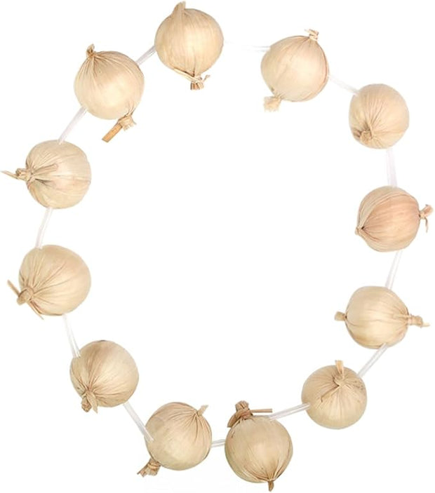 Garlic Bulb Garland