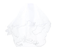 Bridal Veil on Comb