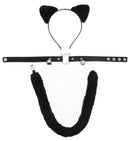 3-Piece Halloween Black Cat Set