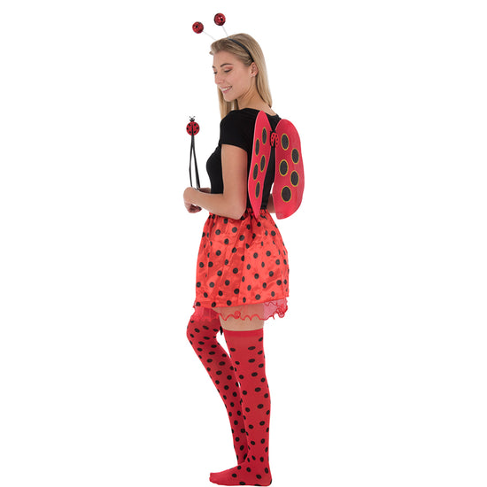 5 Piece Ladybird Set