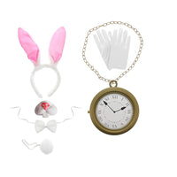 Set of rabbit ears, gloves, bow tie, and pocket watch on a white background
