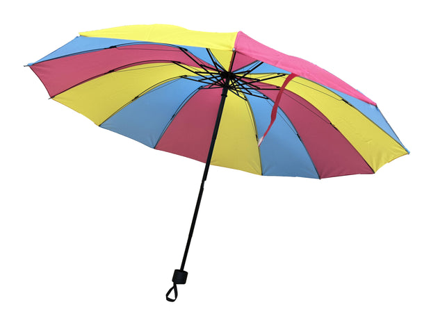 Pansexual Colour Foldable Handbag Size Umbrella with Case