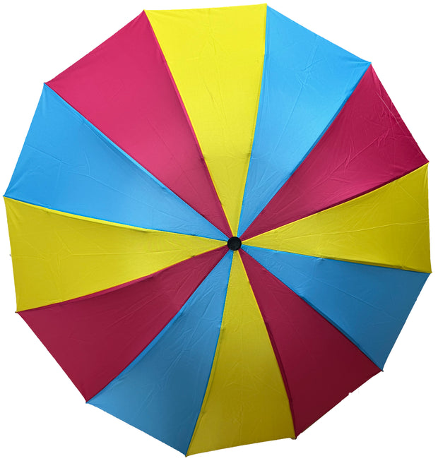 Pansexual Colour Foldable Handbag Size Umbrella with Case