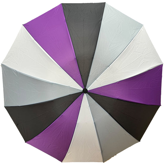 Asexual Colour Foldable Handbag Umbrella
