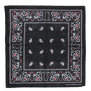 Alternative Paisley Bandana