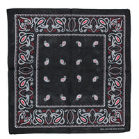 Alternative Paisley Bandana