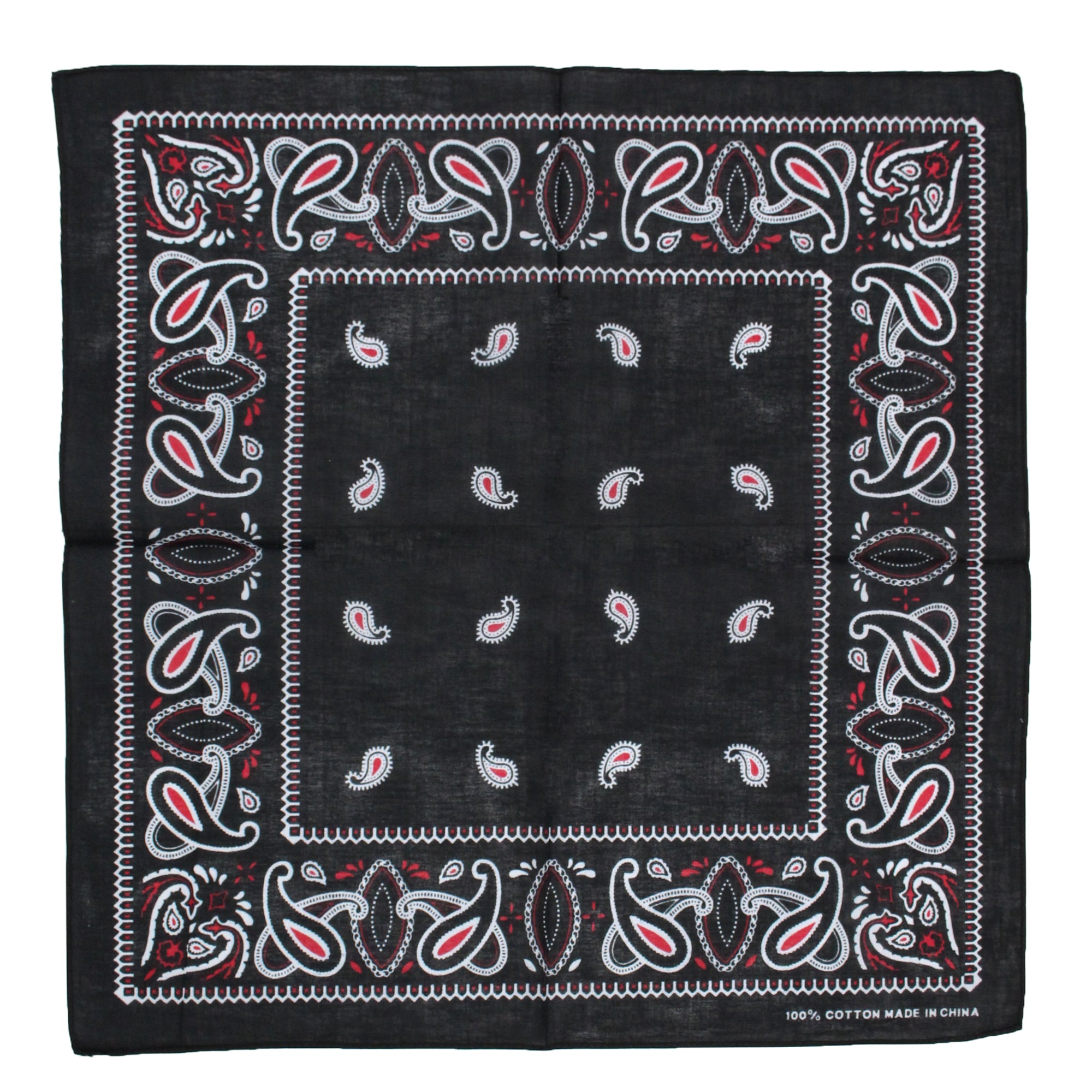 Alternative Paisley Bandana