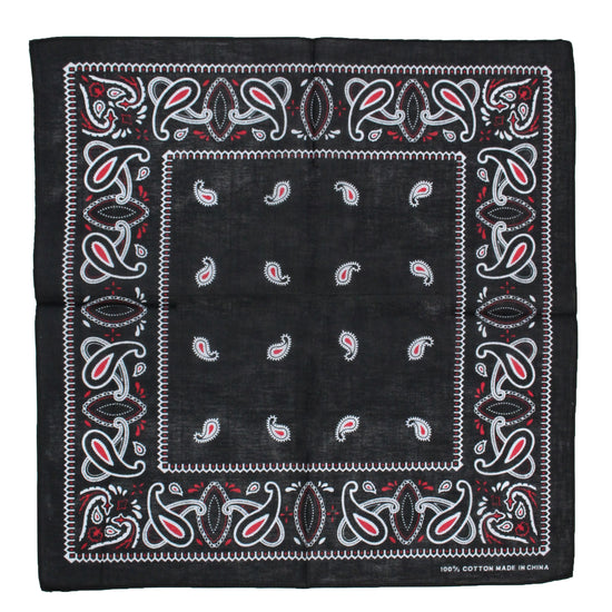 Alternative Paisley Bandana