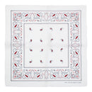 Alternative Paisley Bandana