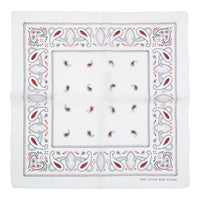 Alternative Paisley Bandana