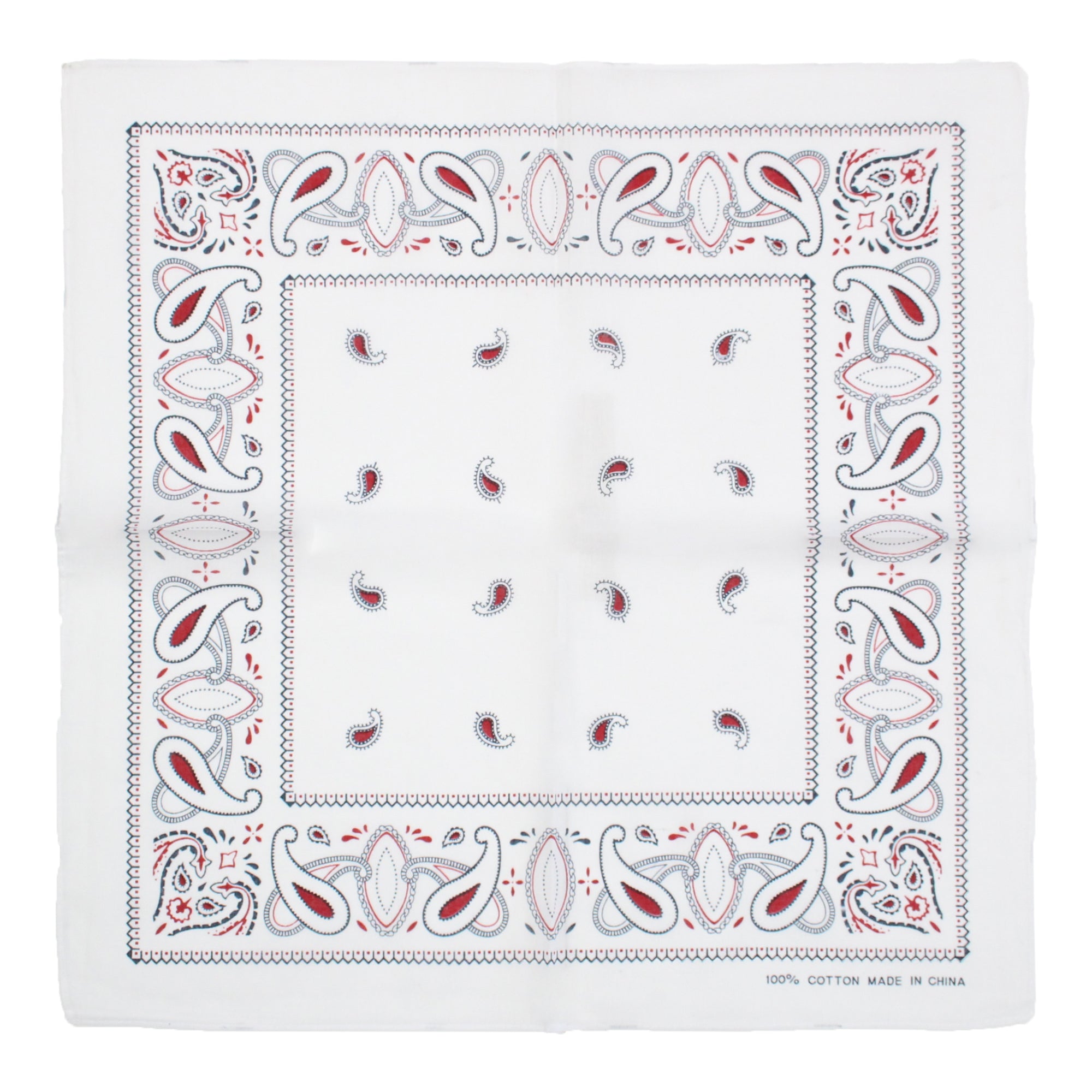 Alternative Paisley Bandana