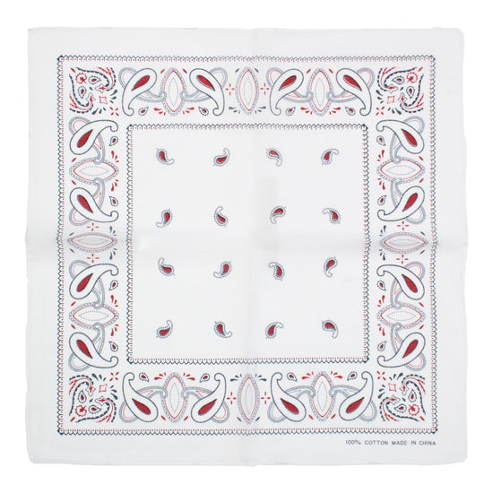 Alternative Paisley Bandana