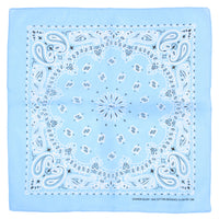 Alternative Retro Paisley Bandana