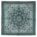 Alternative Retro Paisley Bandana