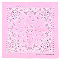 Alternative Retro Paisley Bandana