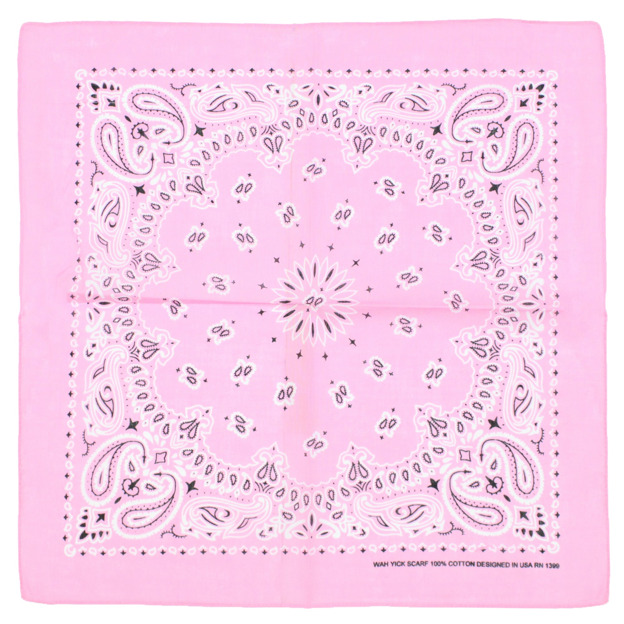 Alternative Retro Paisley Bandana