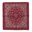 Alternative Retro Paisley Bandana