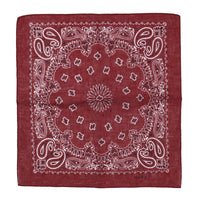 Alternative Retro Paisley Bandana