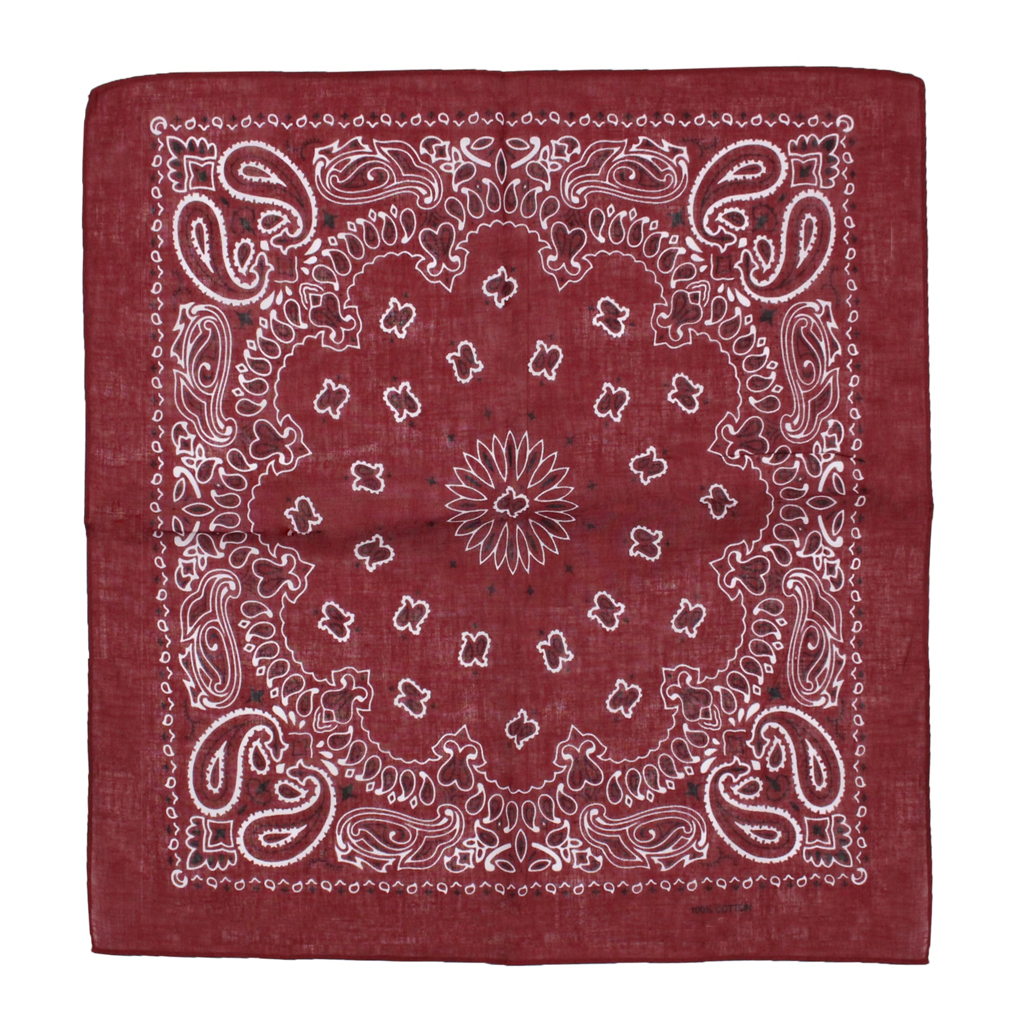Alternative Retro Paisley Bandana