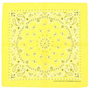 Alternative Retro Paisley Bandana