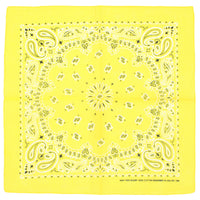 Alternative Retro Paisley Bandana
