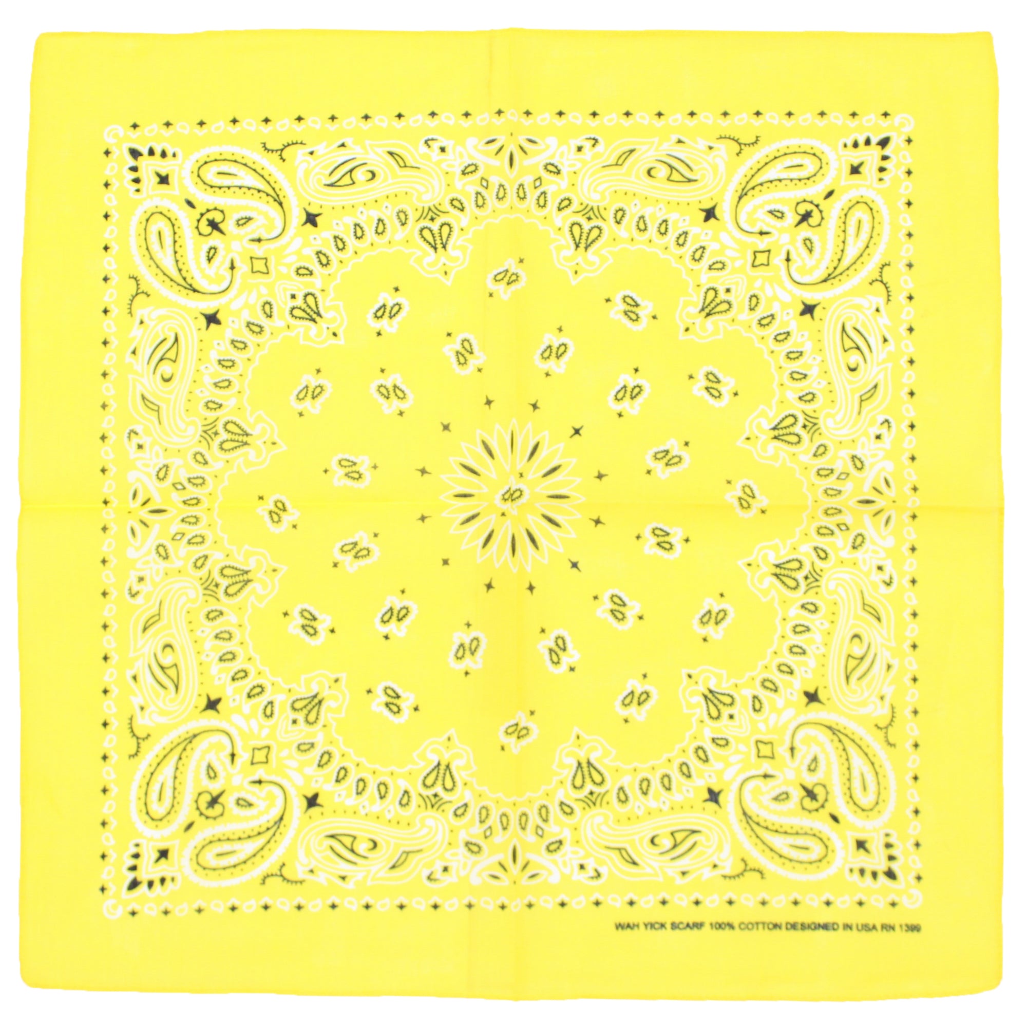 Alternative Retro Paisley Bandana