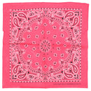 Alternative Retro Paisley Bandana