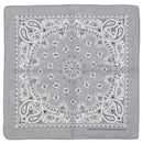Alternative Retro Paisley Bandana