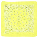 Alternative Retro Paisley Bandana