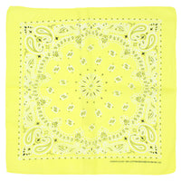 Alternative Retro Paisley Bandana