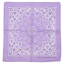 Alternative Retro Paisley Bandana