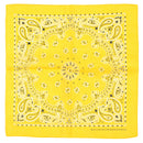 Alternative Retro Paisley Bandana