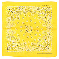 Alternative Retro Paisley Bandana