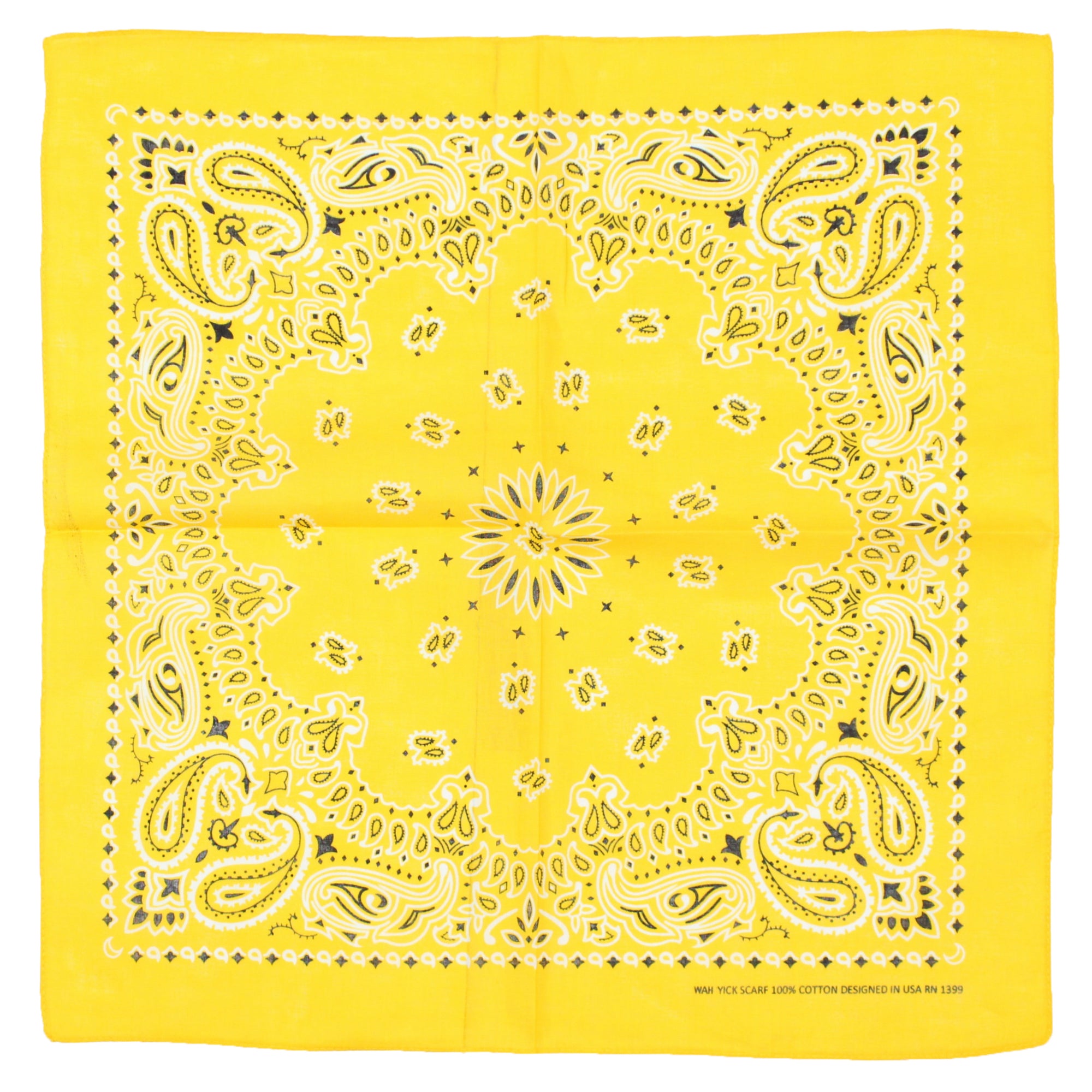 Alternative Retro Paisley Bandana