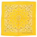 Alternative Retro Paisley Bandana