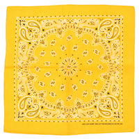 Alternative Retro Paisley Bandana