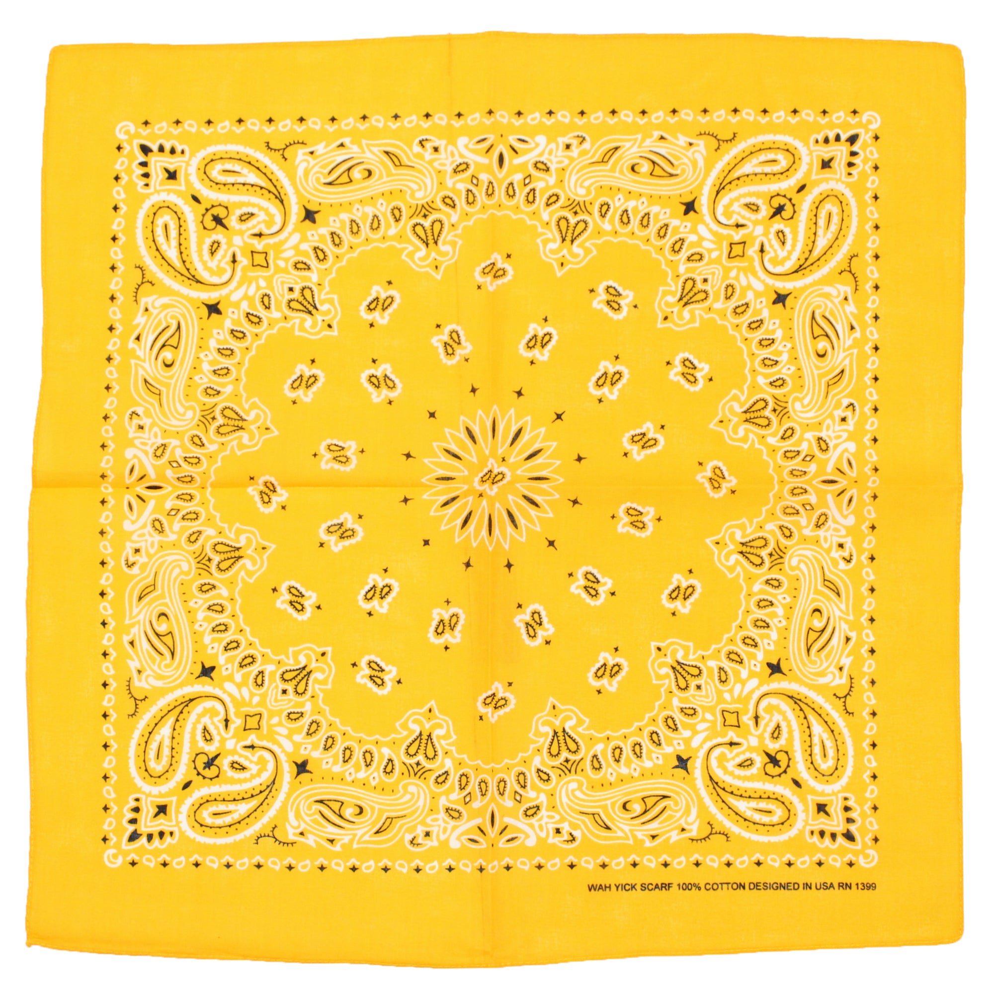Alternative Retro Paisley Bandana