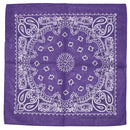 Alternative Retro Paisley Bandana