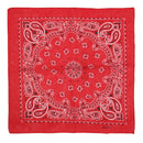 Alternative Retro Paisley Bandana