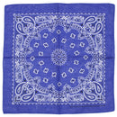 Alternative Retro Paisley Bandana