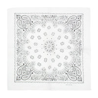 Alternative Retro Paisley Bandana