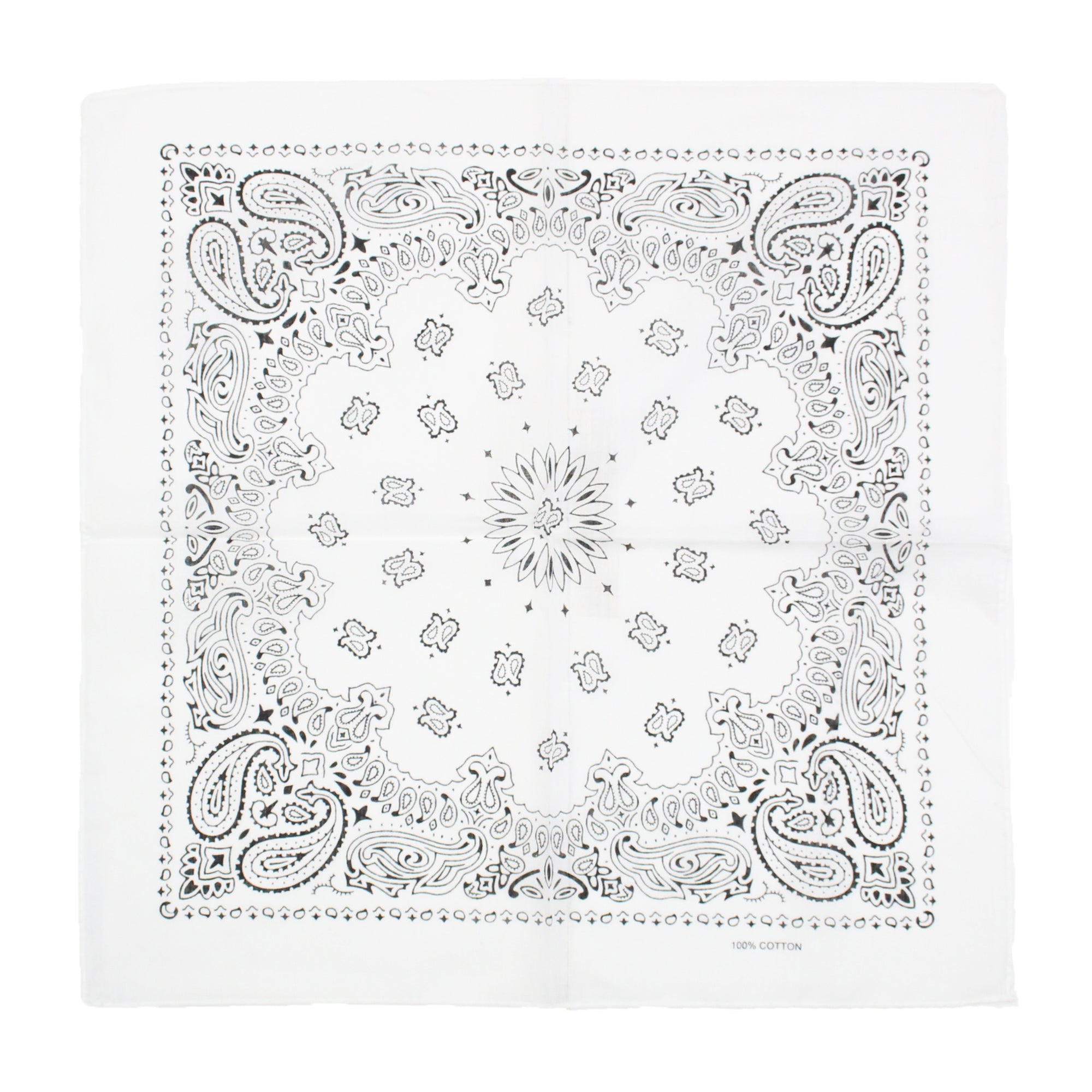 Alternative Retro Paisley Bandana