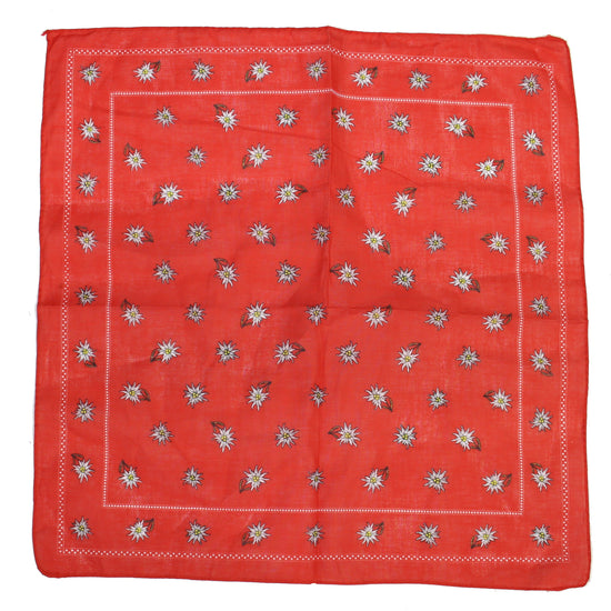 Vintage Style Winter Floral Print on Red Bandana