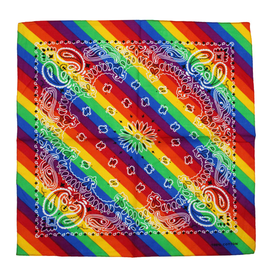 Retro Vintage Paisley Print on Rainbow Bandana,