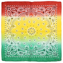 Two Tone Retro Vintage Paisley Bandana