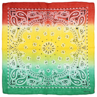 Two Tone Retro Vintage Paisley Bandana