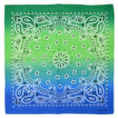 Two Tone Retro Vintage Paisley Bandana